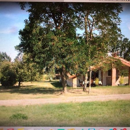 Location Gite 4 Personnes Mazeres - La Petite Maison Exterior foto